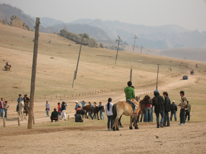 chevaux